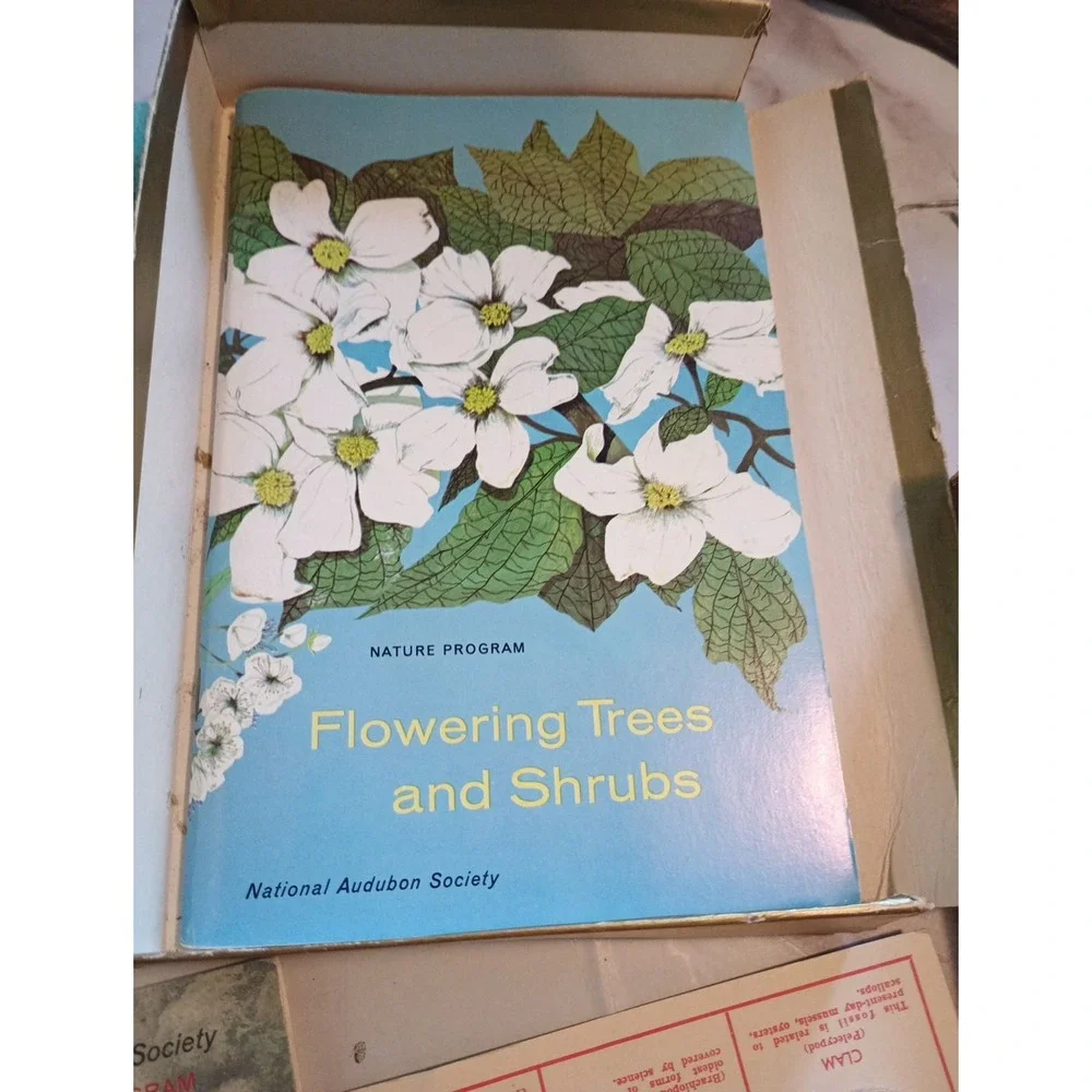 Vintage Nature Programa‎ Prehistoric Life Flowering Trees and Shrubs Collectible - Picture 4 of 16